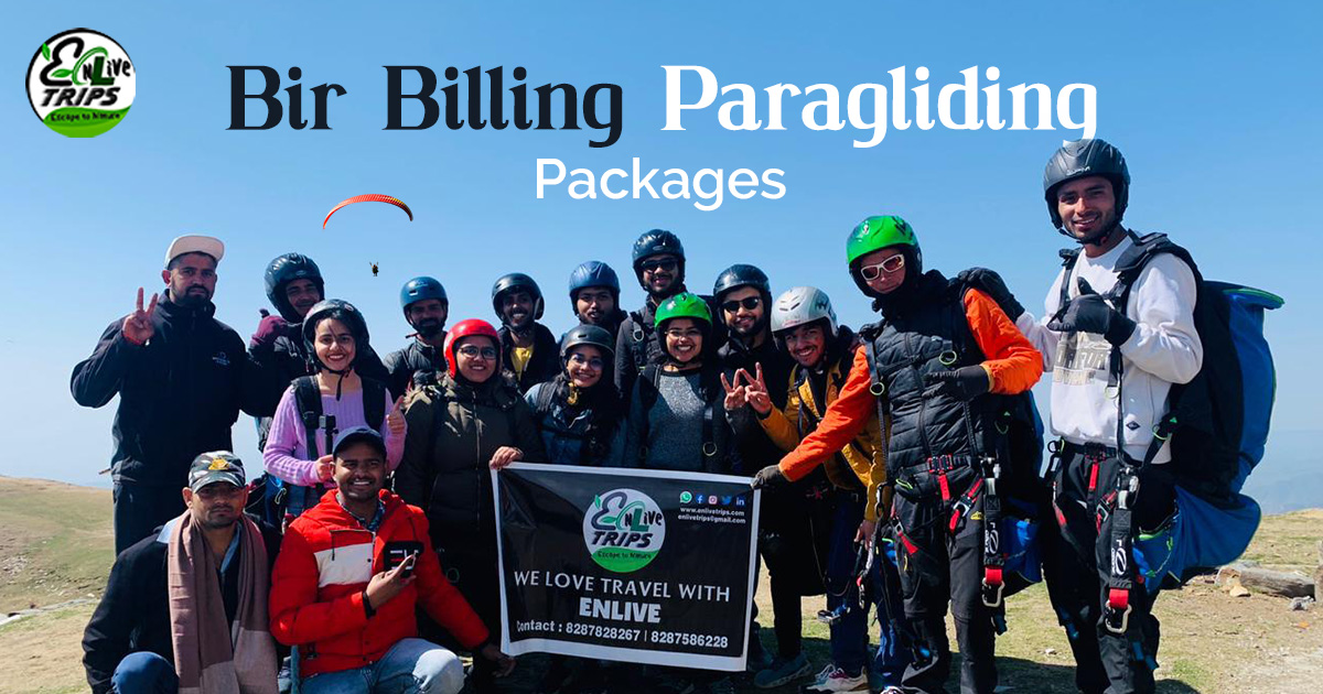 bir billing tour packages
